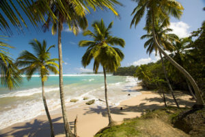 Caribbean Beaches